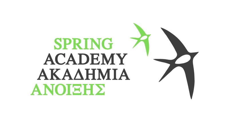 SpringAcademy logo